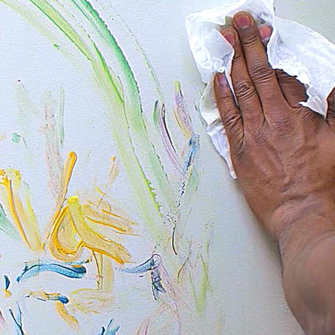 Zyro Foaming Wall Cleaner